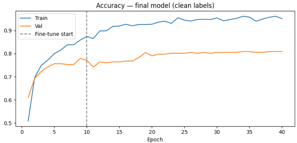 Lizard Classification (Deep Learning Challenge)